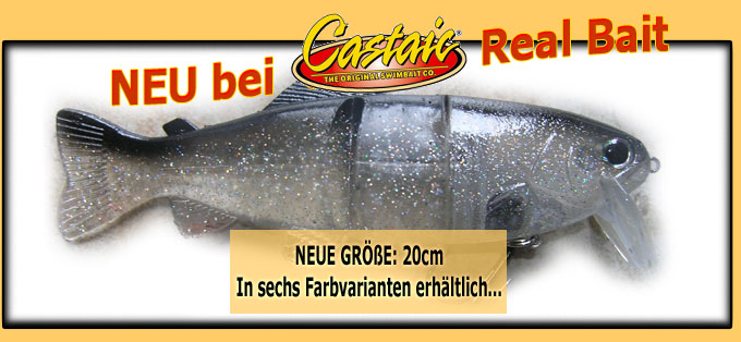 Realbait 20cm