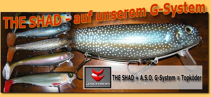 zur Rubrik Jackson