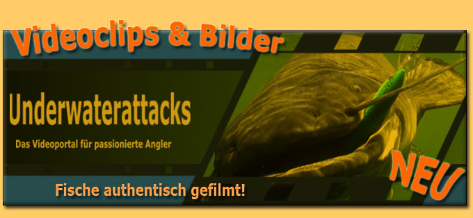 zur Webseite von UWA