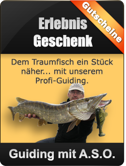 ASO Guiding